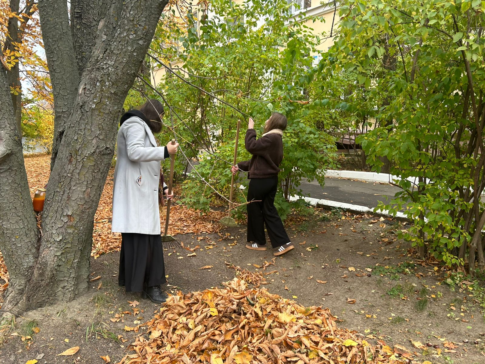 Студенты гр 23ФПИ1 на уборке территории